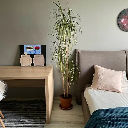 Light Grey In Maardu