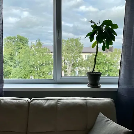 Light Grey In Appartement