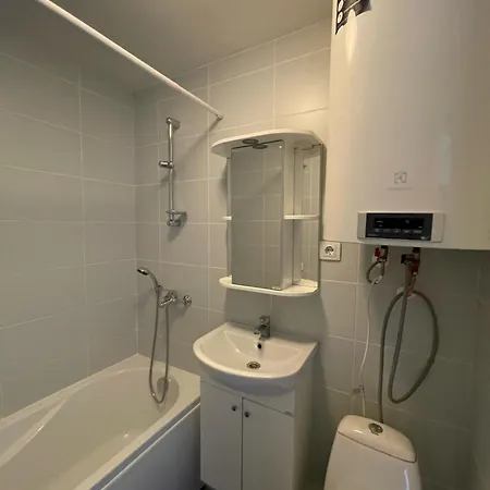 Light Grey In 公寓 *