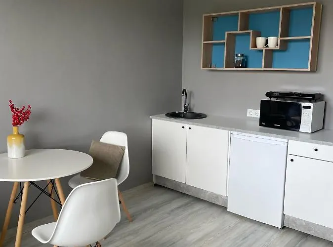 Light Grey In Appartement Maardu