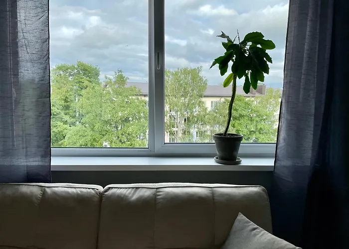 Light Grey In Appartement